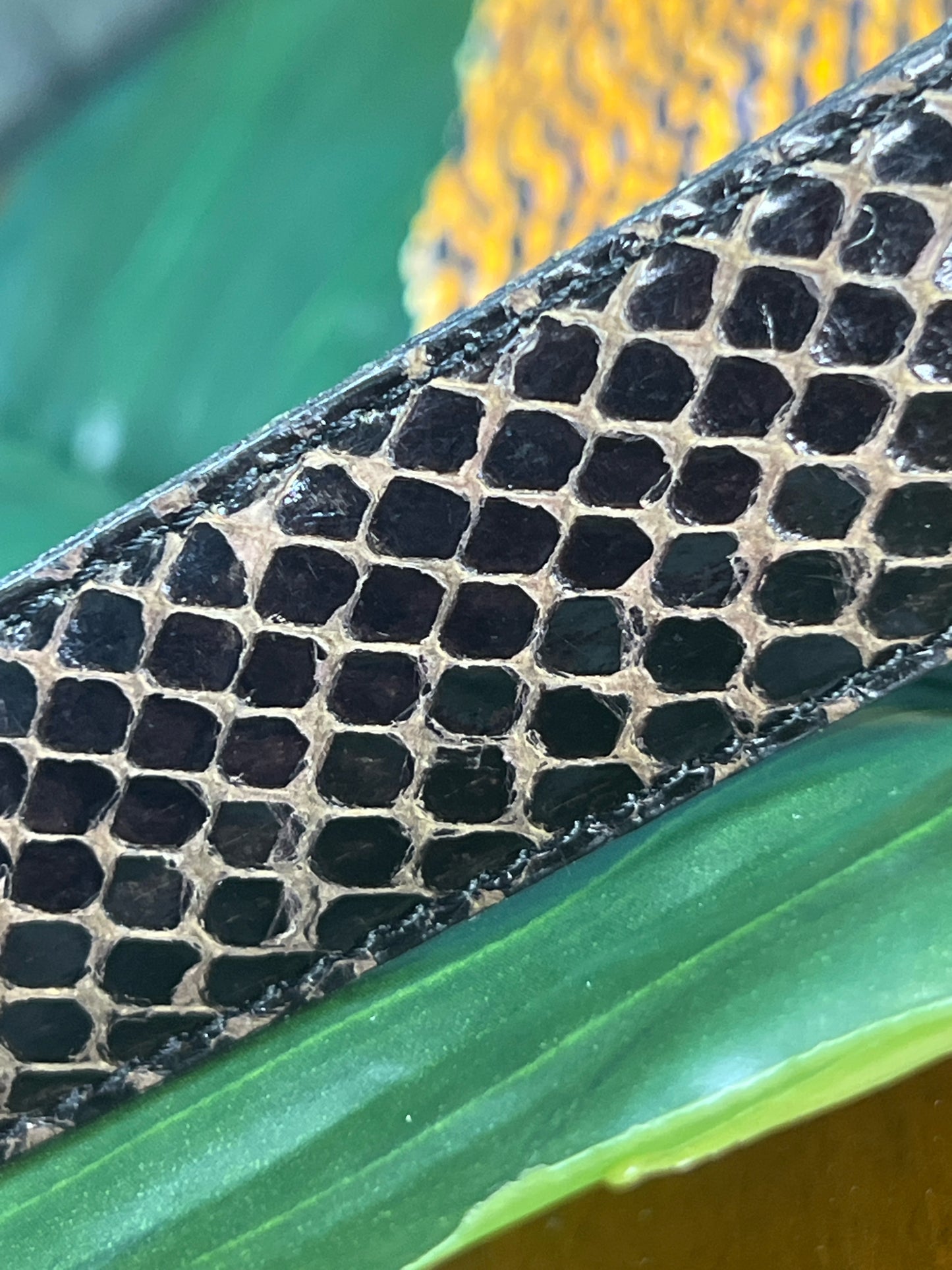 Men's Belt